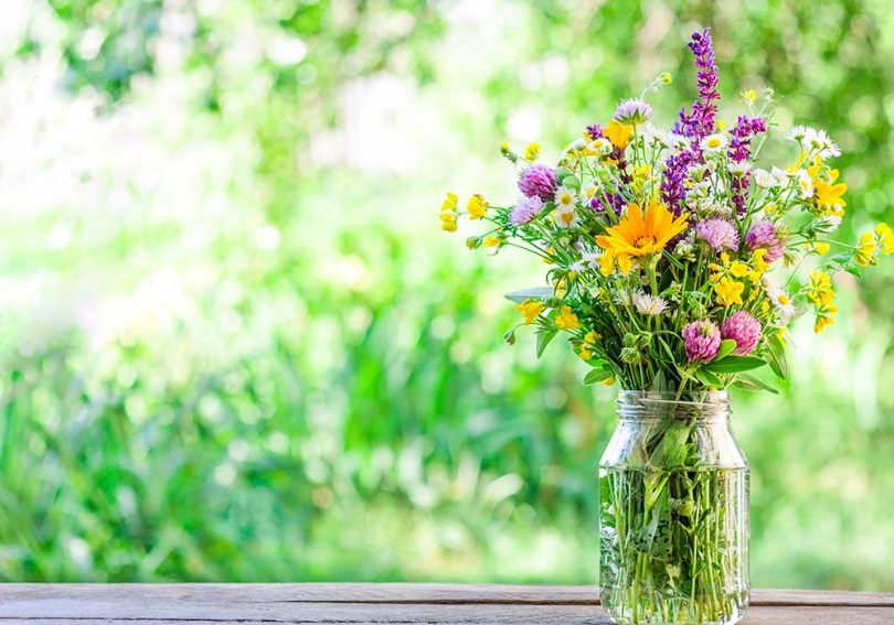 como trazer as cores da primavera para dentro de casa