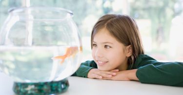 e9ff5b0e adb0 453c 9c94 127aa6ba469f