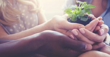 Pessoas segurando uma muda de árvore. Preservar meio ambiente.