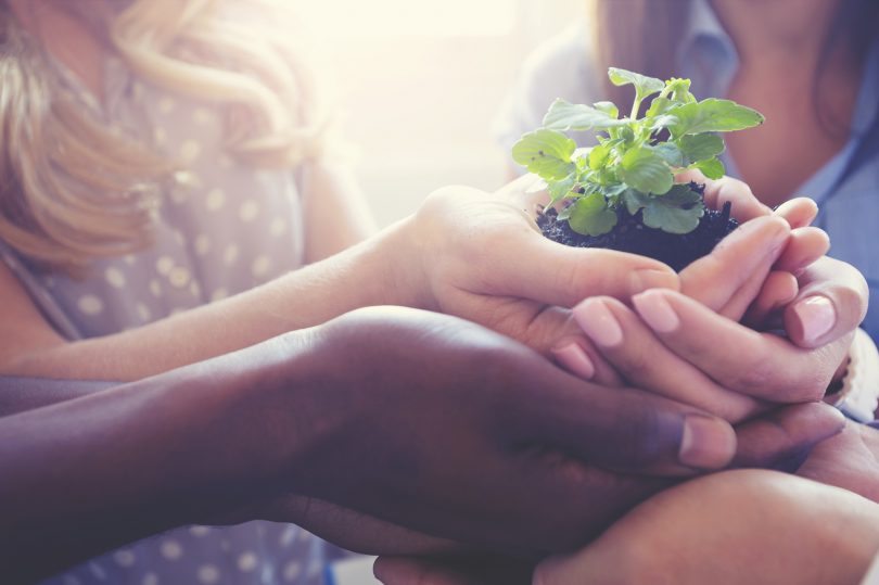 Pessoas segurando uma muda de árvore. Preservar meio ambiente.