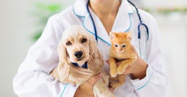 3ff42dab b96f 41dd a618 bdaef74d5c12