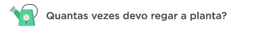 Quantas vezes devo regar a planta?