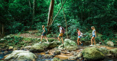 4f648174 995d 438b 995a 8756273a08a0