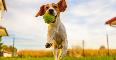 6846d15a f224 4441 96b6 03497cd59687