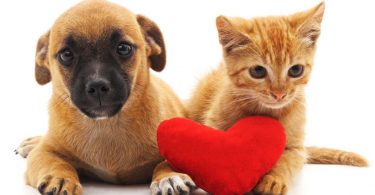 70cb3ba4 2f26 4aca 82b7 2a29b8d81e43