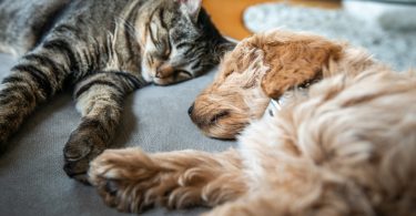 710befe4 c16b 4d10 82c3 7e6e135cddf5