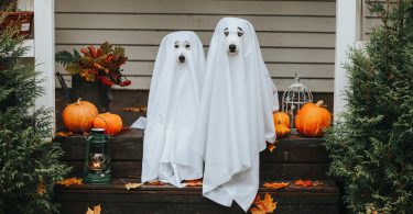 72b4780d 29c8 4cc9 b009 34e23957ef2d