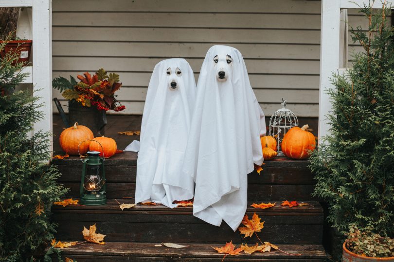 Pai e filha precisam salvar a cidade do Halloween no trailer de “A