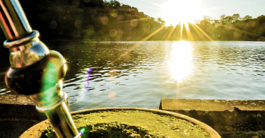 8655e5e1 789a 4da8 baec 0d9d1e54f49a