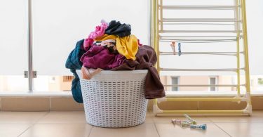 9e4b19a5 4333 4751 89e3 025914a03e4e 1 scaled