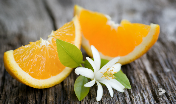 Post - 21.08 - Laranja