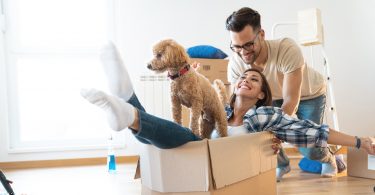 Família brincando com seu pet dentro de casa. Entreter o pet.