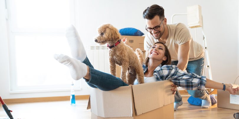 Família brincando com seu pet dentro de casa. Entreter o pet.