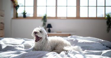 ba8fb0f0 0223 41ac b385 efcca99b2f56