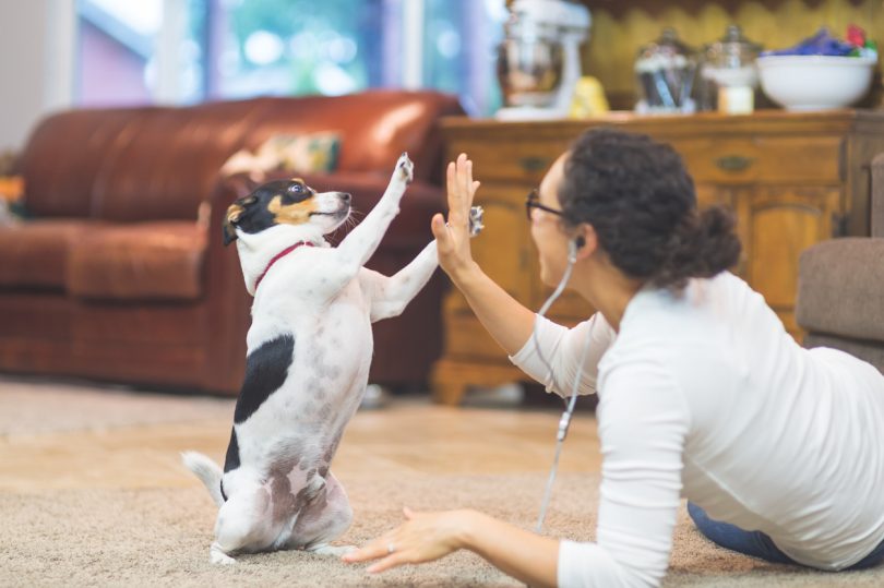 iStock 910736966