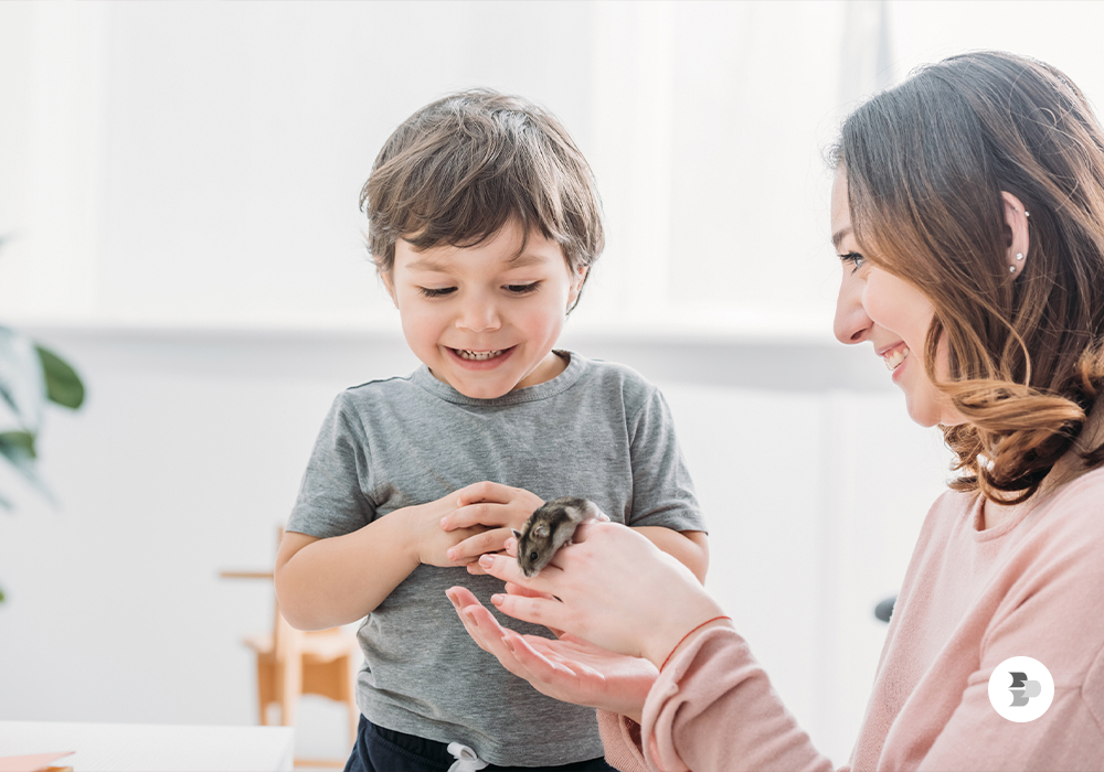 como-ter-todos-os-cuidados-essenciais-de-um-hamster
