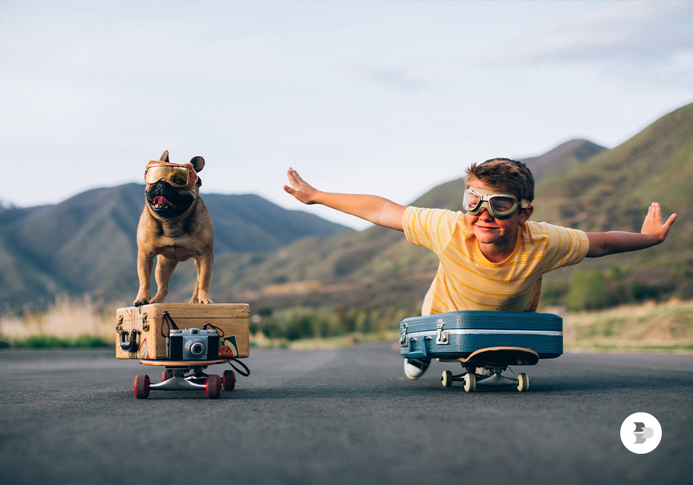 viaje-com-seu-pet-sempre-que-possivel