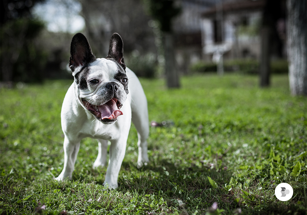 saúde e porte físico saude-e-porte-fisico.jpg