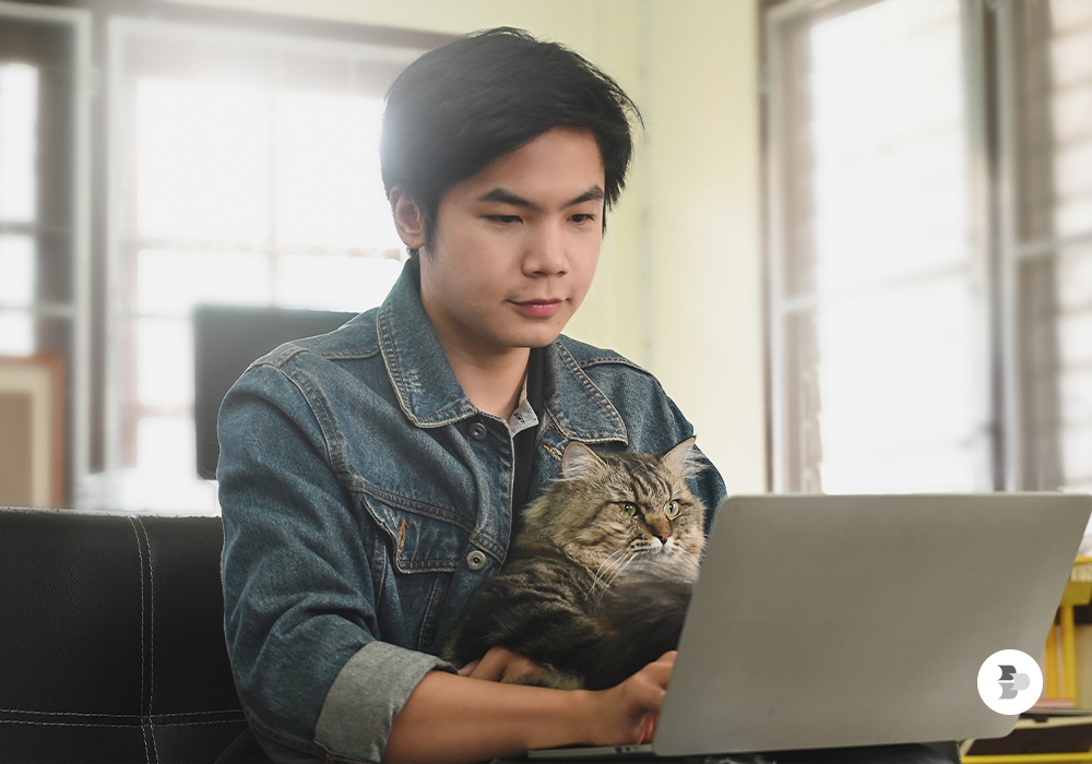 Gatos-podem-assistir-videos