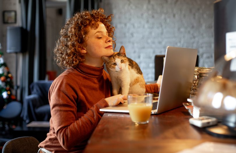 video para gatos conheca os beneficios