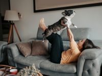 Como adaptar o cachorro ao novo lar
