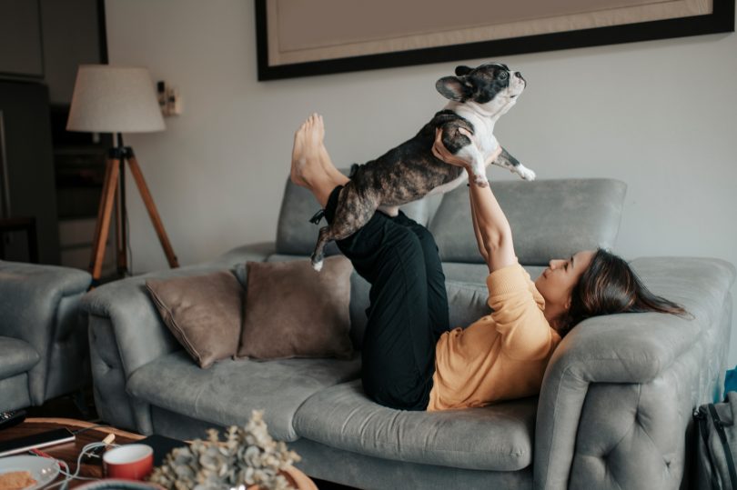 Como adaptar o cachorro ao novo lar