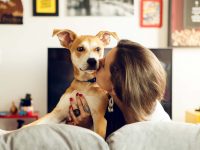 Lista de 200 nomes para cachorros
