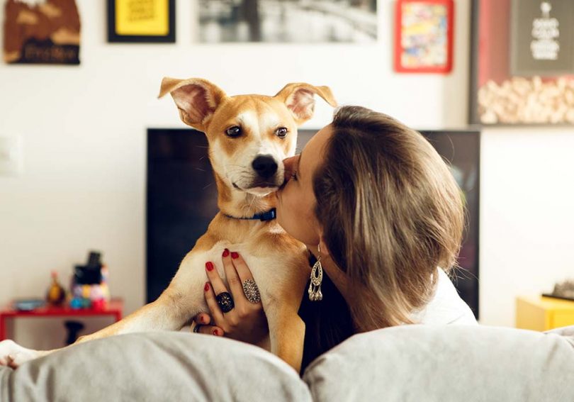 Nomes para cachorro: 2000 ideias para o seu pet!