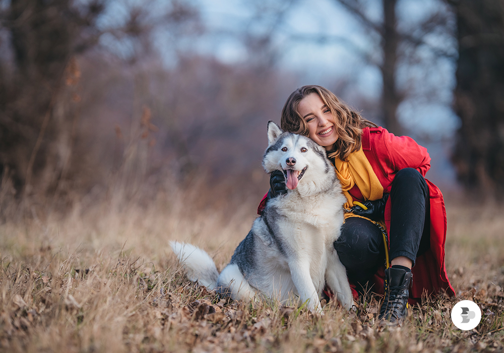 Os Huskies são dóceis e muito carinhosos. Husky.