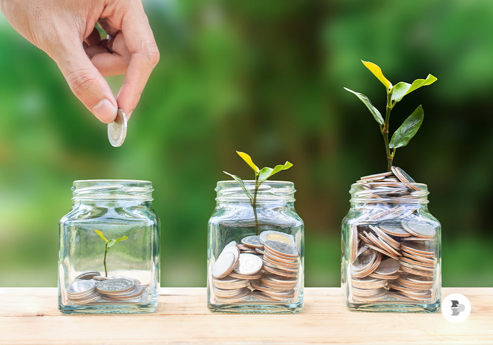 Organize suas finanças. 