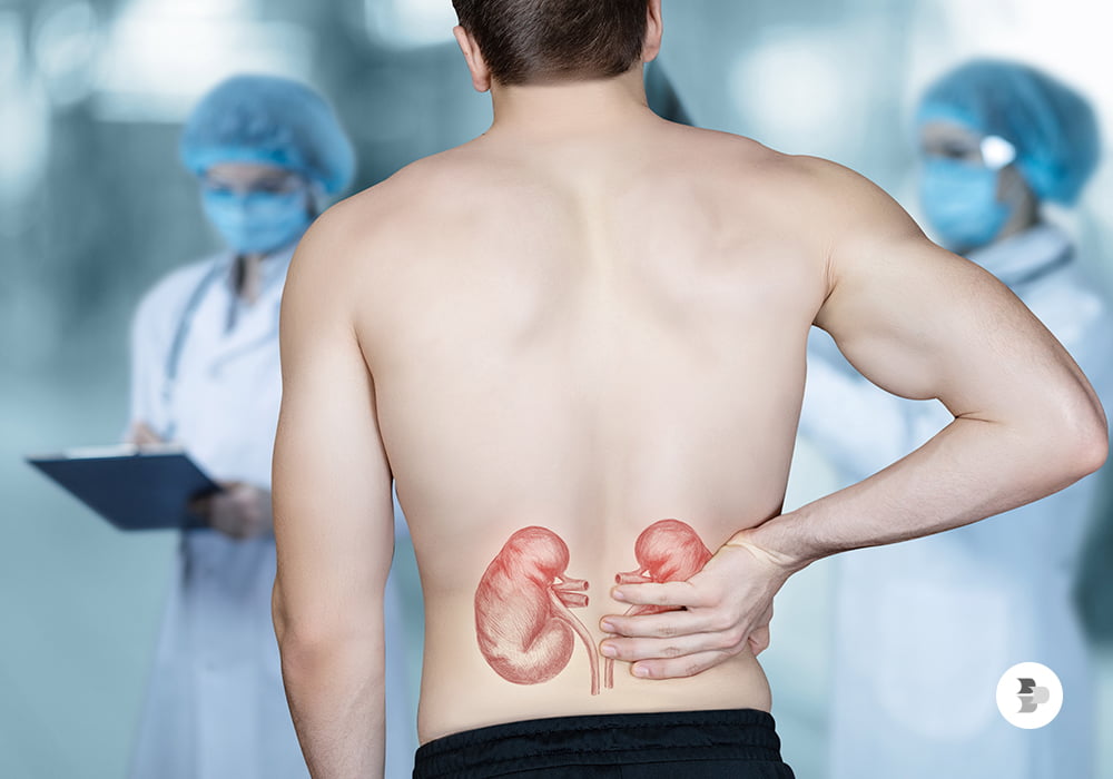 Facilita o trabalho dos rins. 