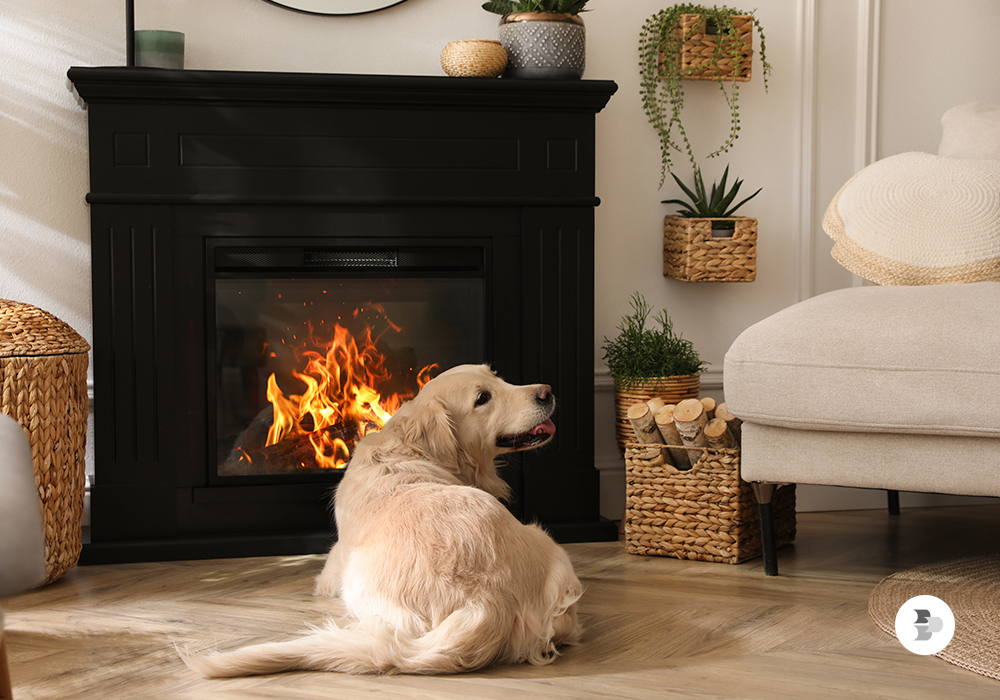 Um cachorro em frente a uma lareira elétrica. Lareiras.