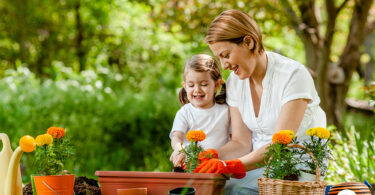Mãe e filha plantando flores em um jardim. Decorar jardim.