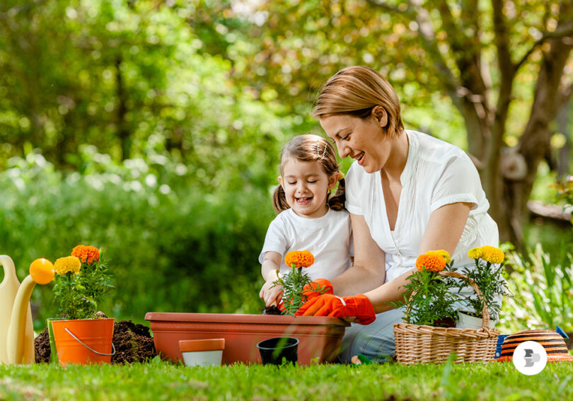 Mãe e filha plantando flores em um jardim. Decorar jardim.