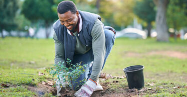 Um homem plantando uma muda de árvore em sua casa. Dia da árvore.