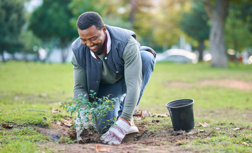 Um homem plantando uma muda de árvore em sua casa. Dia da árvore.