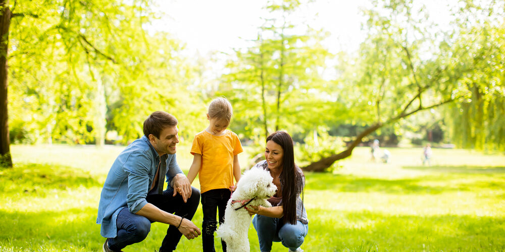 Uma família brincando com o seu pet. Cuidados pet verão.