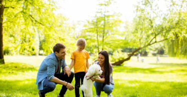 Uma família brincando com o seu pet. Cuidados pet verão.