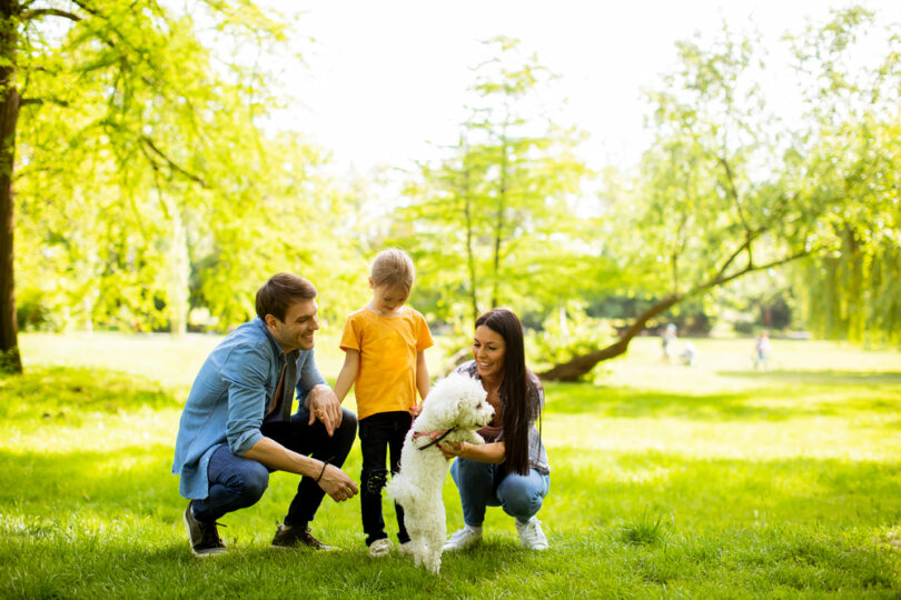 Uma família brincando com o seu pet. Cuidados pet verão.